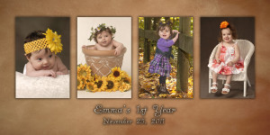 1st Year Baby Portrait Panel